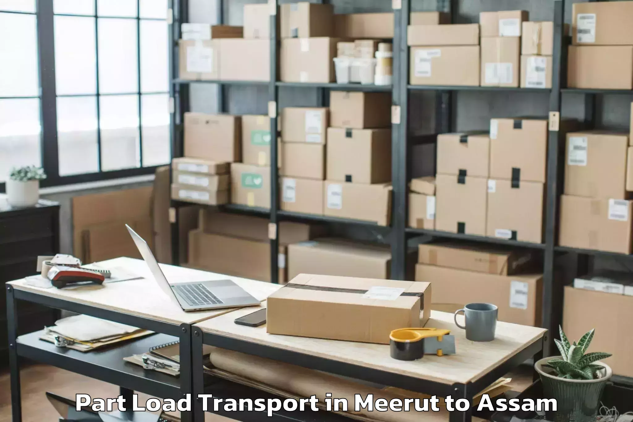 Affordable Meerut to Silapathar Part Load Transport